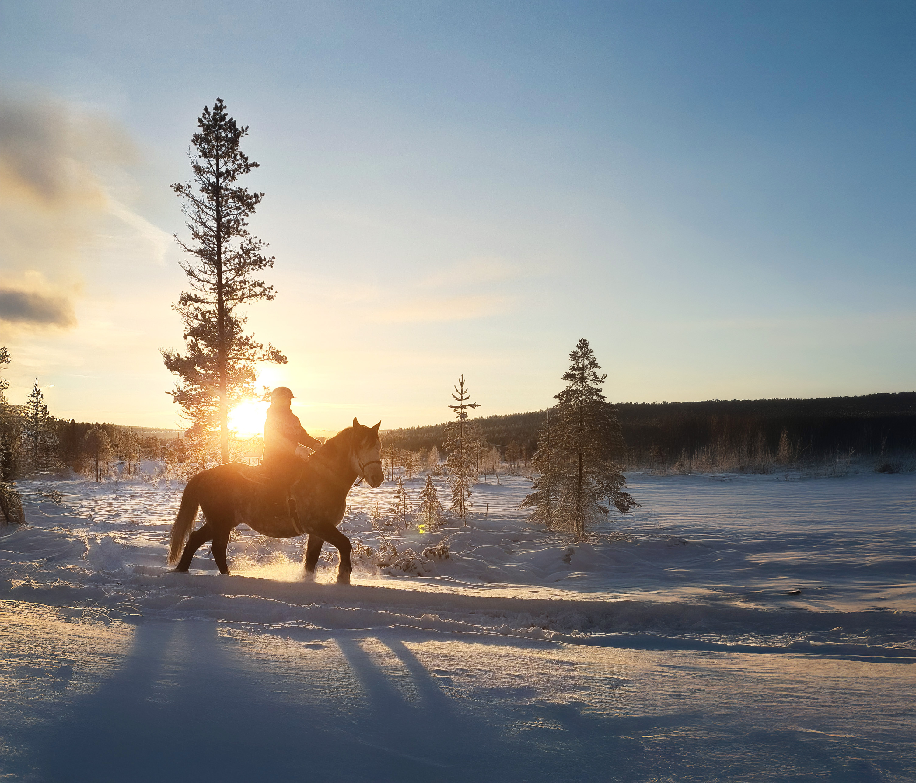 Ratsastusvaellus Lapissa, hevonen ja ratsastaja maastoratsastuksella Ylläksellä